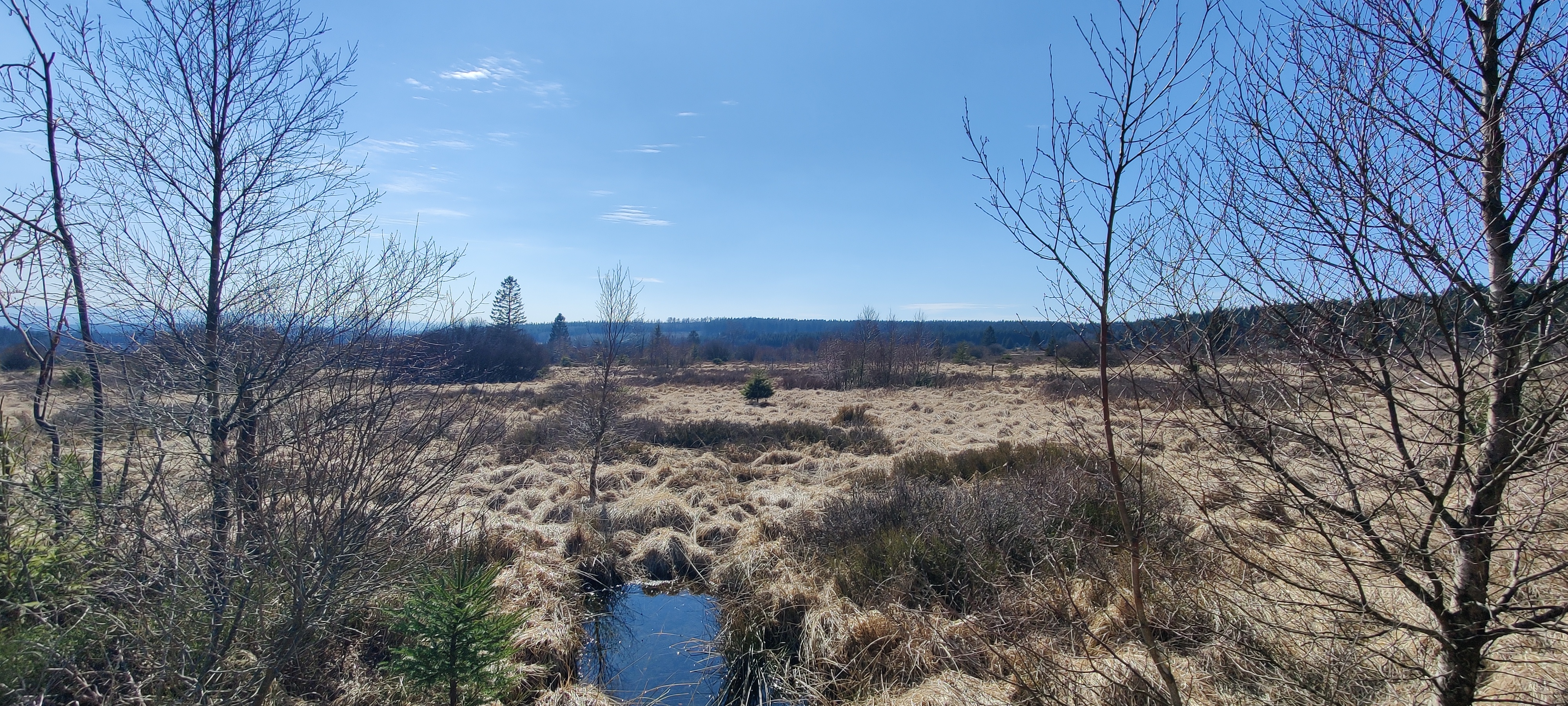 Paysage des Hautes-Fagnes
